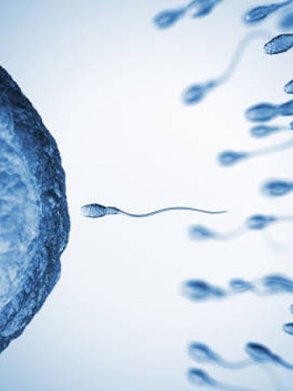 Everything You Need To Know About Male Fertility
