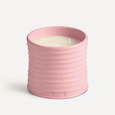 Medium Ivy Candle from Loewe
