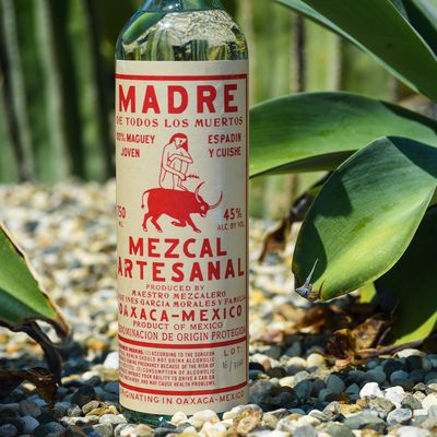 Why You Should Give Mezcal A Try 