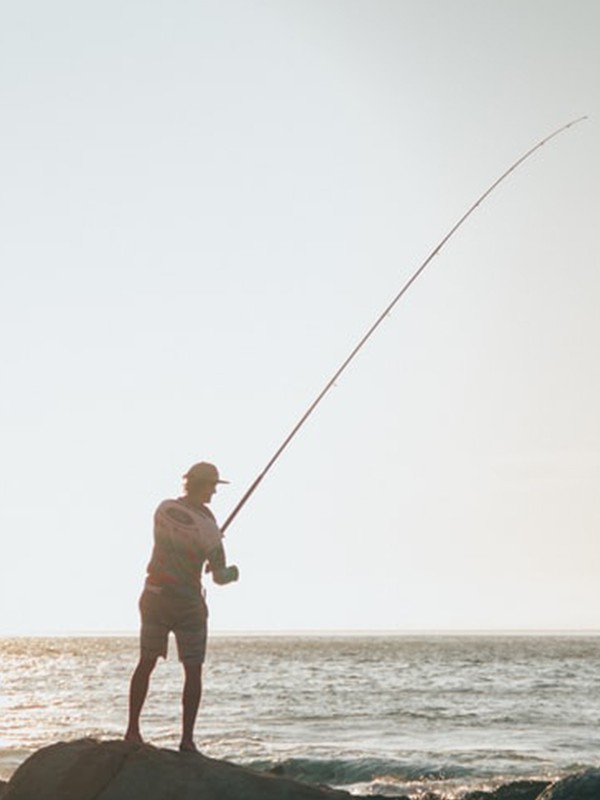 What’s New In Fishing