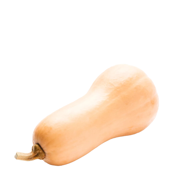 Butternut Squash from Daylesford Organic