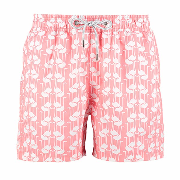 Staniel Swim Shorts - Necks Of Necker