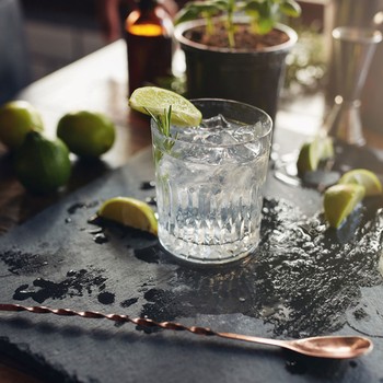 9 Gin Brands To Try Now