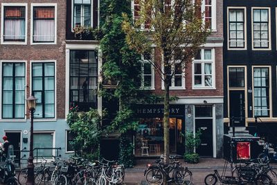 How To Spend A Weekend In Amsterdam