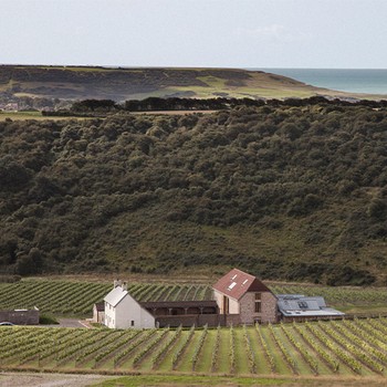 The Best UK Vineyards To Visit Now 