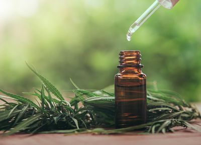 A Beginner’s Guide To CBD