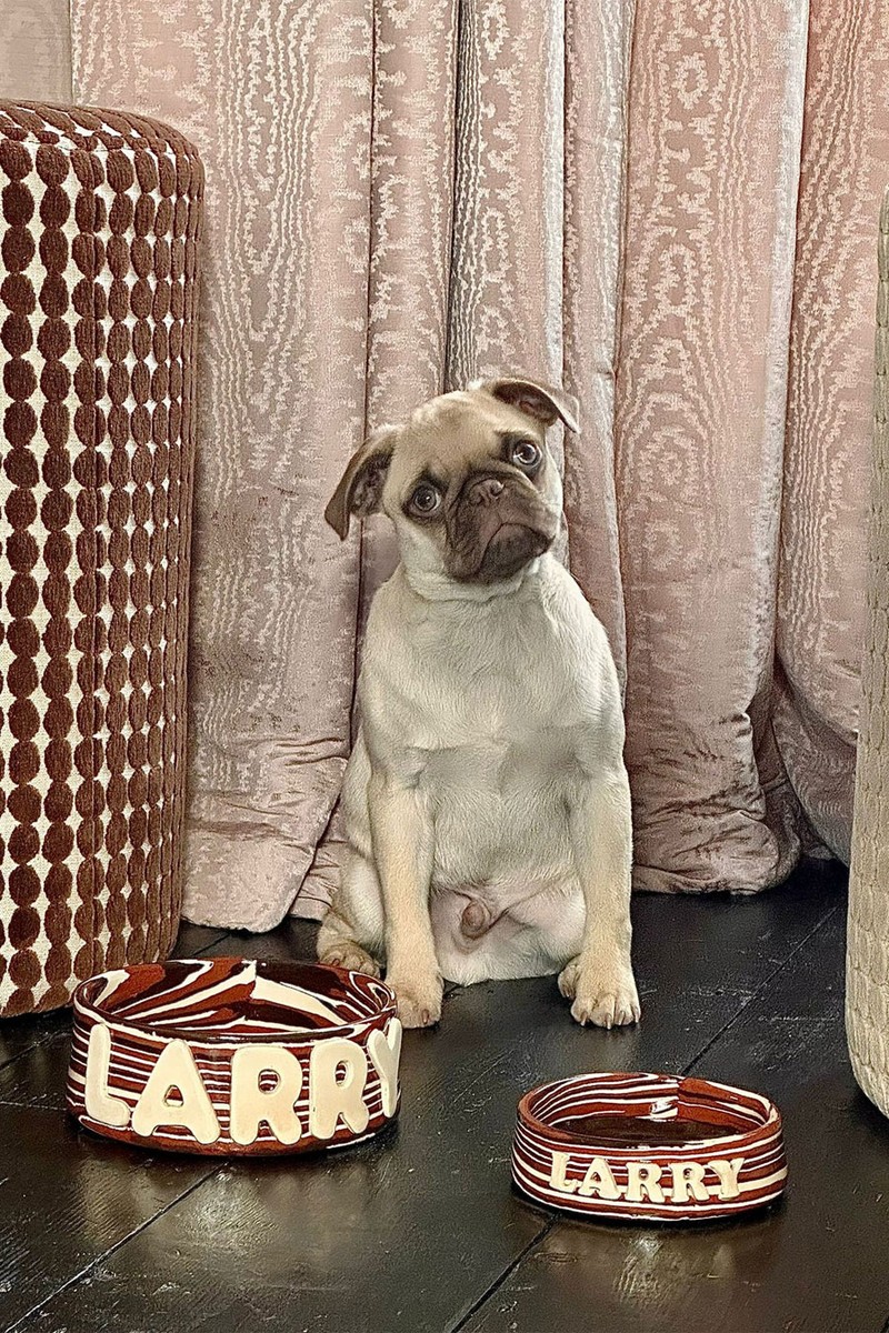 Personalised Large Pet Bowl from Henry Holland
