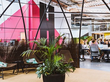 Huckletree