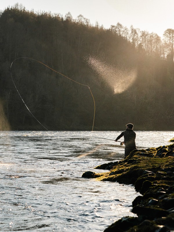 Why You Should Go Salmon Fishing In Scotland