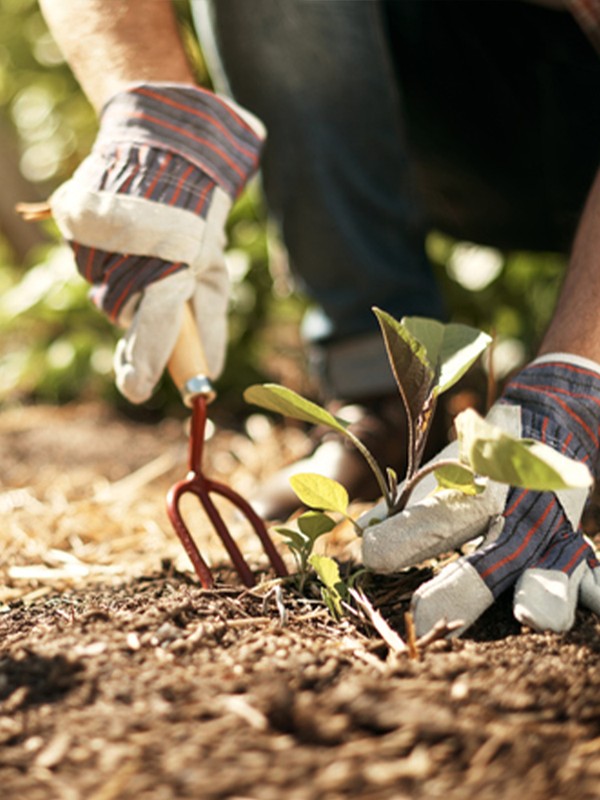 How To Make The Most Of Your Outdoor Space 