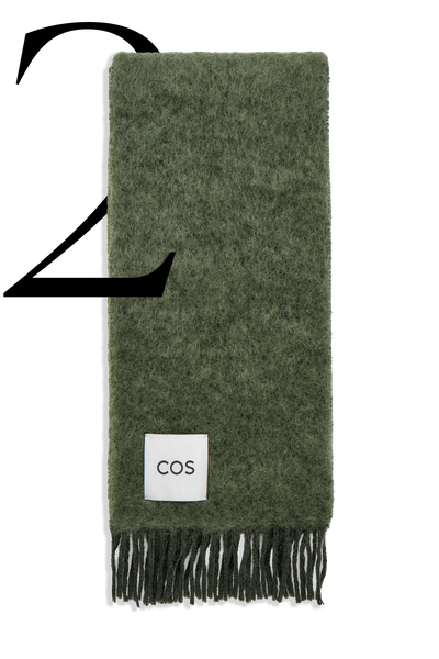 Fringed Mohair Scarf from COS