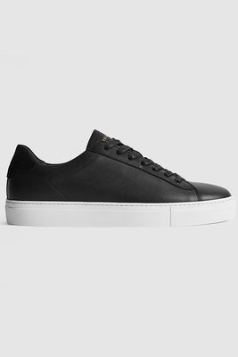 Finley Leather Trainers