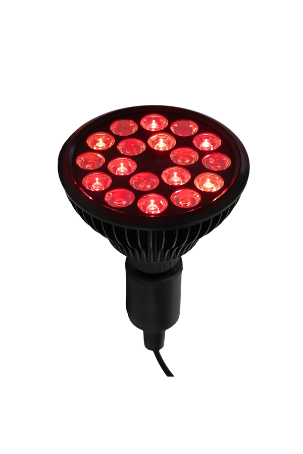 Flowlight Bulb 50 Six Waves from Flowlife