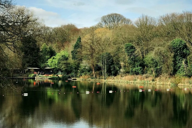 Hampstead Heath Bathing Ponds