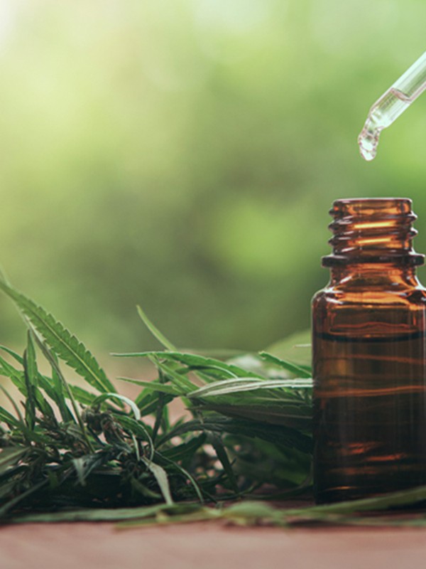 A Beginner’s Guide To CBD