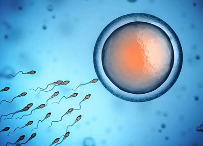 9 Ways To Boost Your Fertility