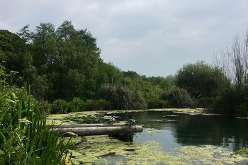 Beryl's Campsite