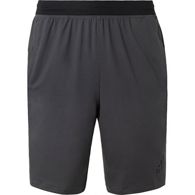 Climalite Shorts