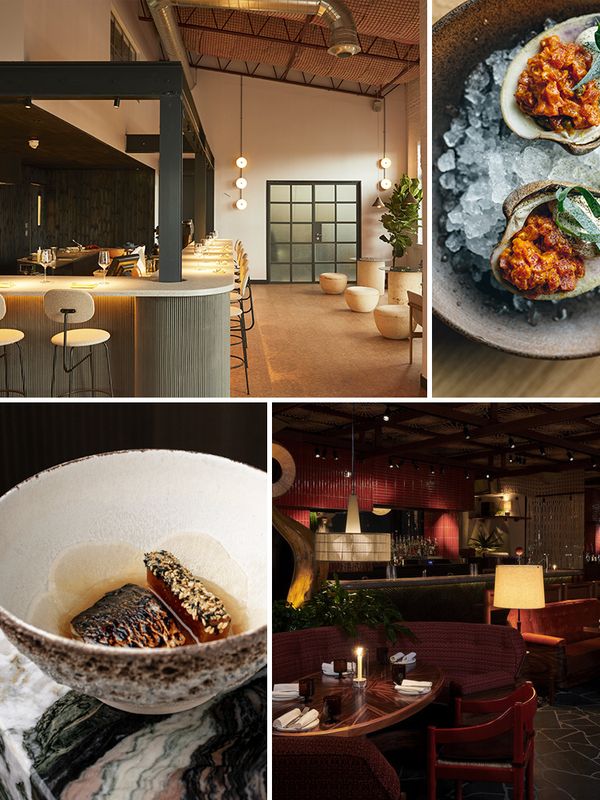 London’s Best New Restaurants