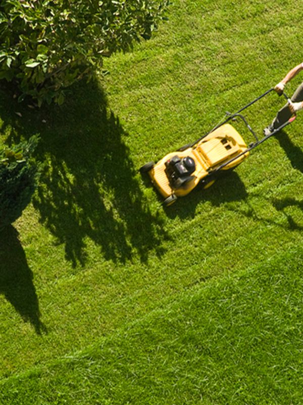 The Best Lawnmowers To Buy Now