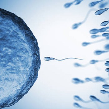 Everything You Need To Know About Male Fertility