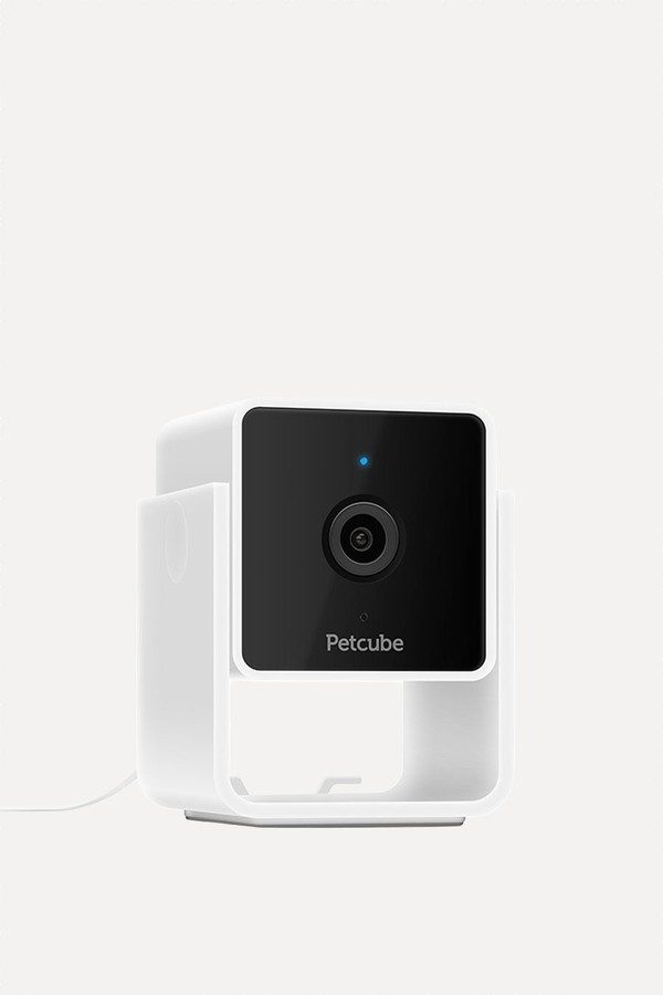 Pet Cam With Built-In Chat Night Vision & 2 Way Audio from Petcube