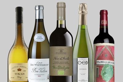 The Best Autumn Wines Under £20