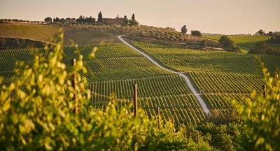 5 Places In Europe For A Wine Holiday