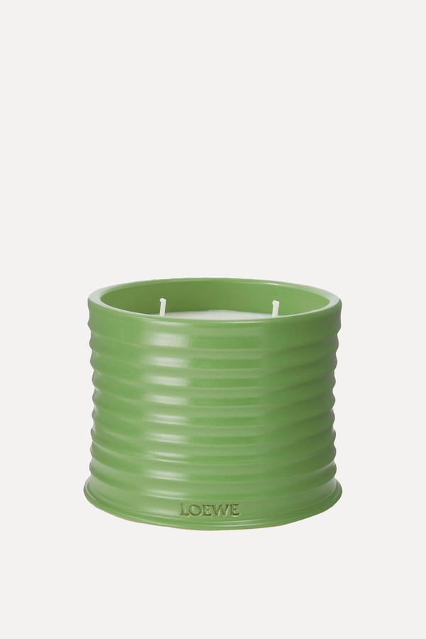 Luscious Pea Scented Candle from Loewe